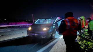Yolun karşısına geçmek isterken hayatını kaybetti