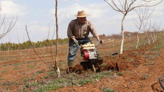 15 dekarlık meyve bahçesinin iş yükünü tek başına sırtlanıyor