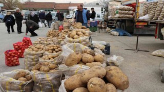 26 ilde patates karantinası uygulanıyor