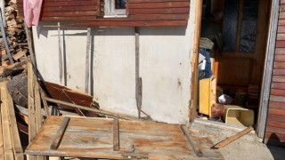 Aç kalan ayılar yayladaki işletmeyi talan etti