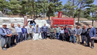 Adanada arıcılara 945 ton şeker desteği yapıldı