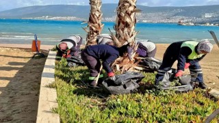 Akbük, turizm sezonunu yenilenmiş yüzüyle karşılayacak