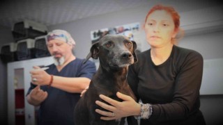 Akdeniz Belediyesi Sokak Hayvanları Kısırlaştırma Kliniğinde kısırlaştırma başladı