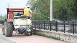 Akyazıda cadde ve sokaklar ilaçlanıyor