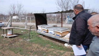 Akyurtta amatör arıcılara yüzde 100 destek