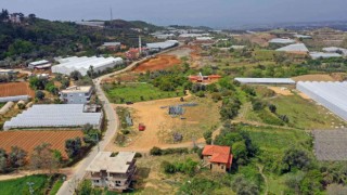 Alanyada Tropik Meyve Tanıtım Merkezi kuruluyor