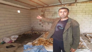 Aldığı yanık kokusu diri diri yanmaktan kurtardı