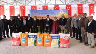 Amasya Valiliği ayçiçeği tohumu desteğini artırdı