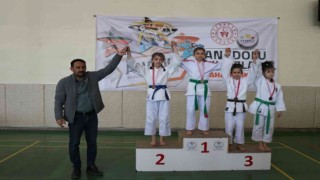 ANALİG Judo yarı final müsabakaları Erzincanda yapıldı