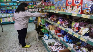 Anneleri ölmüş kuzulara evinde bebek gibi bakıyor