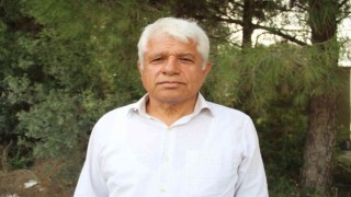 Antalyada yunus sürüsü tekneye eşlik etti