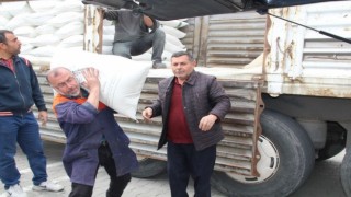 Arıcılara şeker desteği