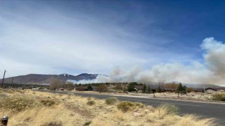 Arizonada orman yangını şiddetli rüzgarın etkisiyle giderek yayılıyor