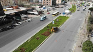 Ataşehirde İBB ekipleri tarafından ağaçlar iş makineleriyle güpegündüz söküldü