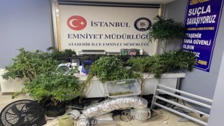 Ataşehirde lüks rezidansta uyuşturucu serasına baskın: 2 gözaltı