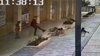 Avcılarda köpek saldırısını yaşayan çocuk dehşet anlarını anlattı