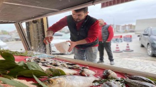 Avlanma yasağı başladı, tezgahları olta balıkları süslüyor