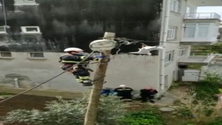 Ayağından elektrik teline takılan martıya kurtarma operasyonu