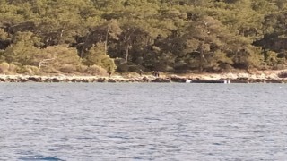 Aydında 35 düzensiz göçmen kurtarıldı