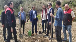 Ayvalıkta incir demonstrasyon bahçesi