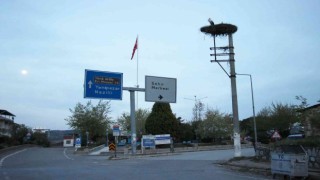 Baharın müjdecisi leylekler Aydını mesken tutuyor