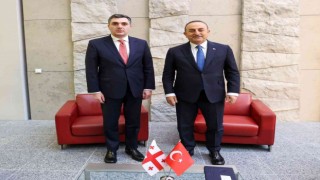 Bakan Çavuşoğlu, Gürcistanlı mevkidaşı Darchiashvili ile görüştü