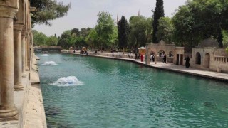 Balıklıgöldeki balık ölümleri araştırılıyor