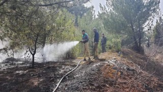 Banazda orman yangını