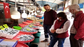 Bandırma balık halinde balık miktarı arttı, fiyatları düştü