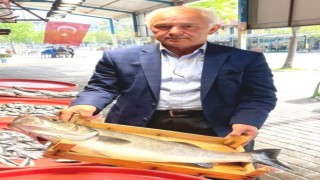 Bandırmada 4 kiloluk levrek 500 liraya satıldı