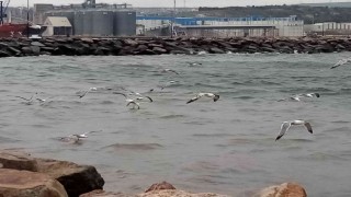 Bandırmada üç gün fırtınanın etkili olması bekleniyor