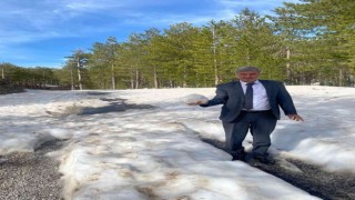 Başkan Ceylan, yayla yollarında incelemelerde bulundu