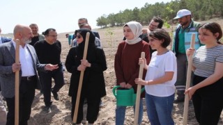 Başkan Çolakbayrakdar, üniversite öğrencileriyle Vuslat Ormanına fidan dikti