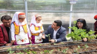 Başkan Tütüncü, okul serasına çocuklarla çilek ekti