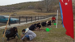 Beyşehirde üniversite öğrencileri fidanları toprakla buluşturdu