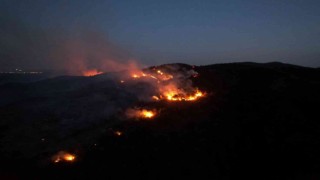 Bilecikte orman yangını 12 saatin ardından kontrol altına alındı