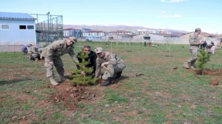 Bingölde jandarma şehitler anısına fidan dikti