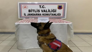 Bitliste 2 bin 800 adet uyuşturucu hap ele geçirildi