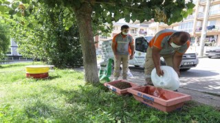 Buca Belediyesi 3 yılda 28 bin sokak hayvanına hizmet verdi