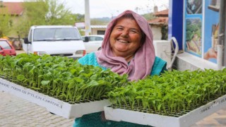 Bucada üreticiye 100 bin sebze fidesi