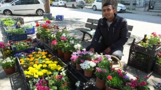 Burhaniye de bahar geldi çiçeklere ilgi arttı