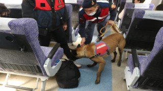 Bursa jandarmasından trende köpekli denetim