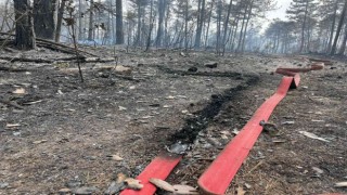 Bursadaki orman yangını kısmen kontrol altına alındı