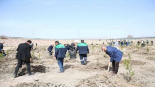 Büyükşehir, baharın gelmesiyle fidan dikimine başladı