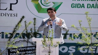 Büyükşehir Belediyesi 5 bin yağlık zeytin ve badem fidanı dağıttı
