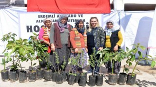 Büyükşehir Belediyesinden Erdemlili üreticilere avokado ve alıç fidanı