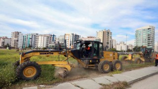 Büyükşehir Belediyesinden zararlılara karşı ilaçlama