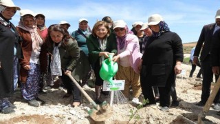 Büyükşehir, Tıbbi Ve Aromatik Bitkiler Ormanı kurdu