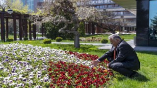 Büyükşehirden Kayseride yeşil alan için 3 yılda 66 milyon TLlik harcama