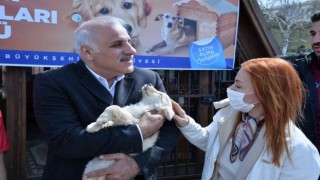 Büyükşehirden sahipsiz canlara özel etkinlik